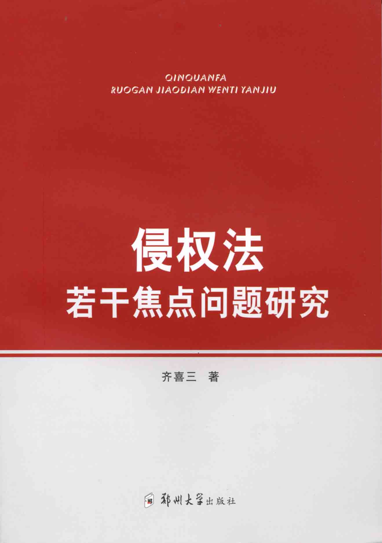 侵权法若干焦点问题研究